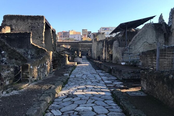Herculaneum - Small Group Tour - What the Licensed English Guide Actually Adds