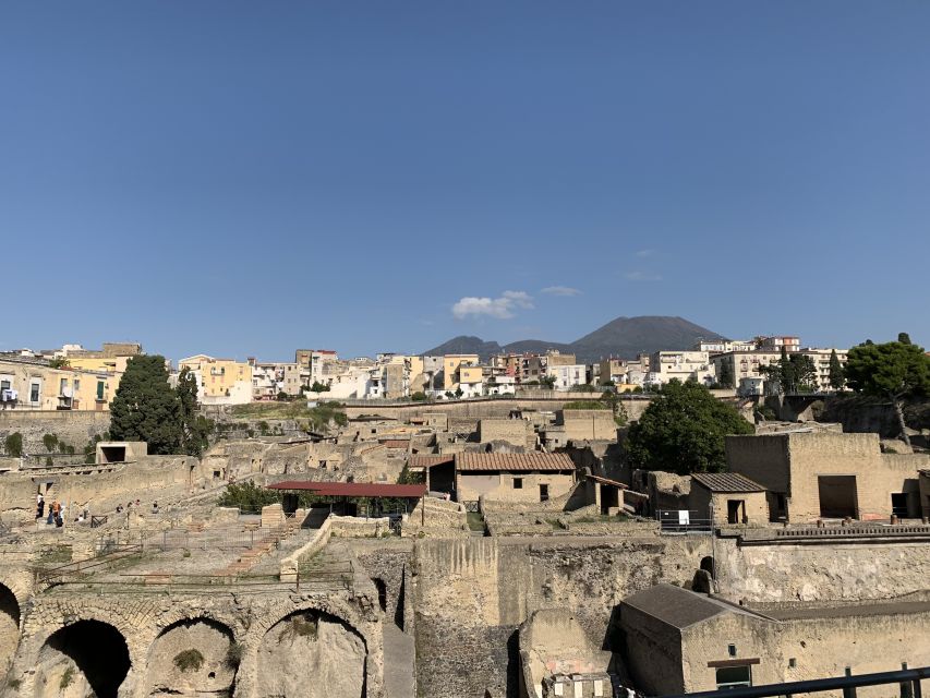 Herculaneum: Tickets & Tour with a Local Archaeologist - Casa dei Cervi and Casa di Nettuno ed Anfitrite: villas that explain taste and power