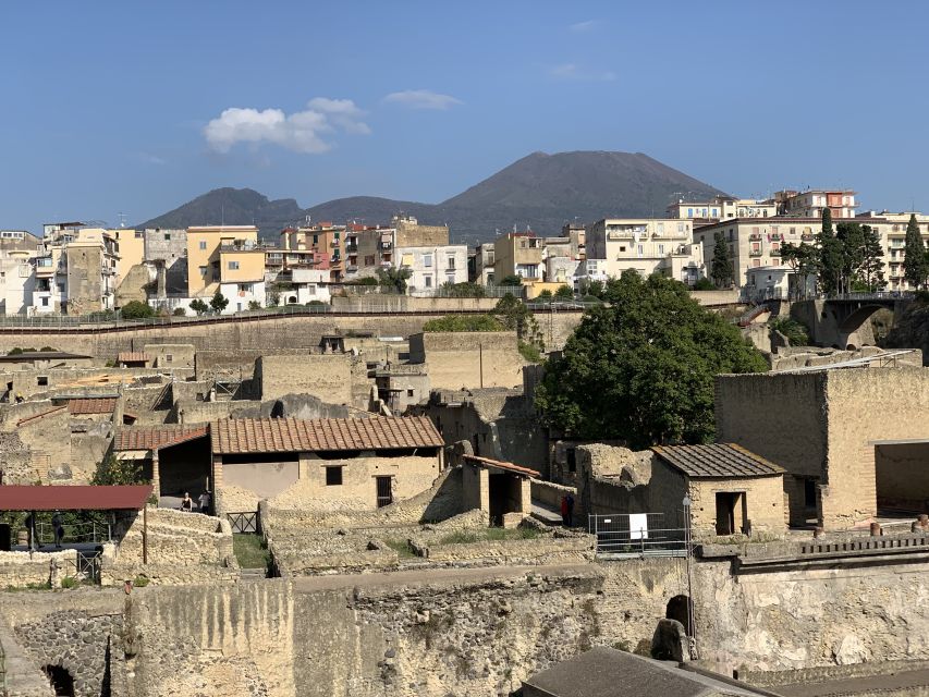 Herculaneum: Tickets & Tour with a Local Archaeologist - The $58 value: skip-the-line plus expert interpretation, not just entry
