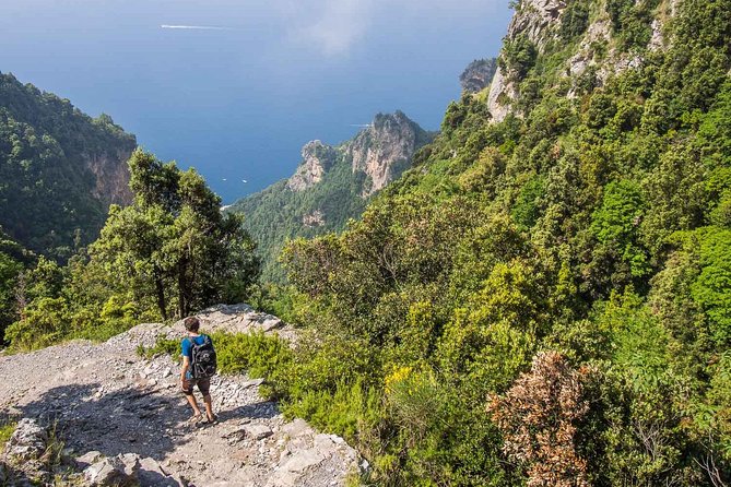 Hiking the Path of the Gods with Enzo: Amalfi Coast Adventure - Price and Value: Is $83.45 Worth It?