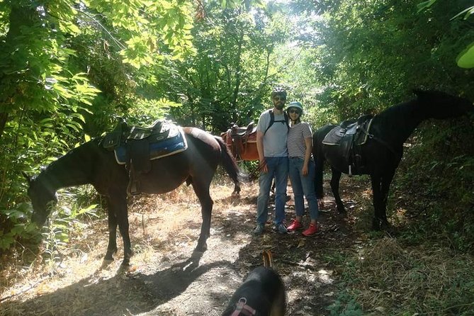 Horse Riding on Mount Vesuvius - Why this Vesuvius horseback ride feels different from regular sightseeing