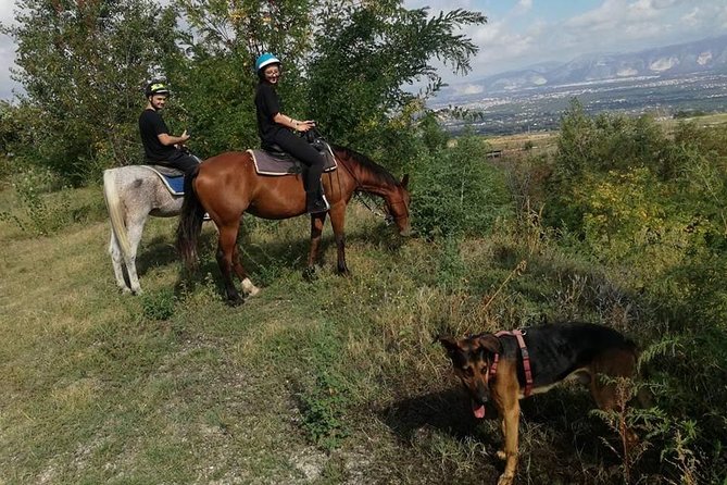 Horse Riding on Mount Vesuvius - The one-hour ride inside Vesuvius National Park