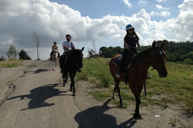 Horse Riding on Mount Vesuvius - Horses, safety, and who this tour fits best