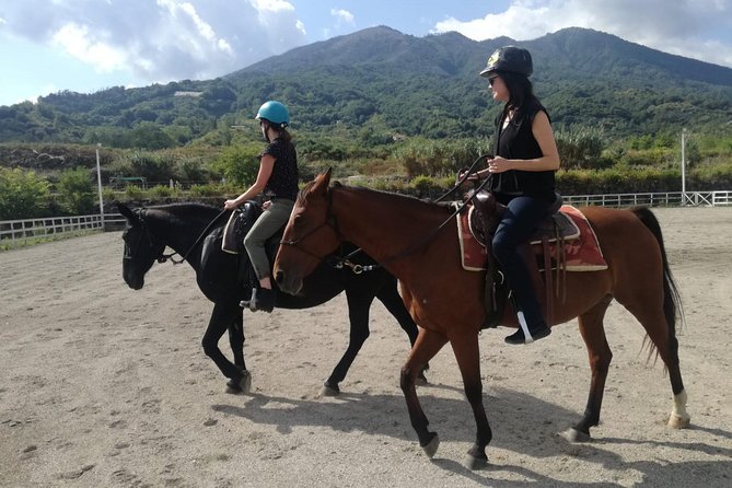 Horse Riding on Mount Vesuvius - Price and timing: is it good value at about $84.48 for 3 hours?