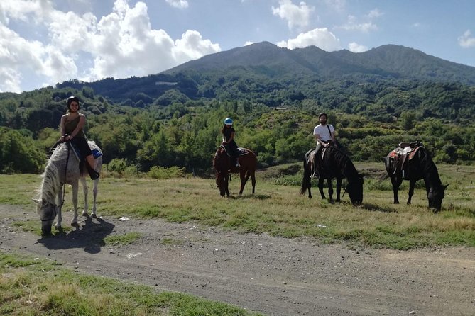Horse Riding on Mount Vesuvius - Meeting point and the easiest way to start your day in Pollena Trocchia