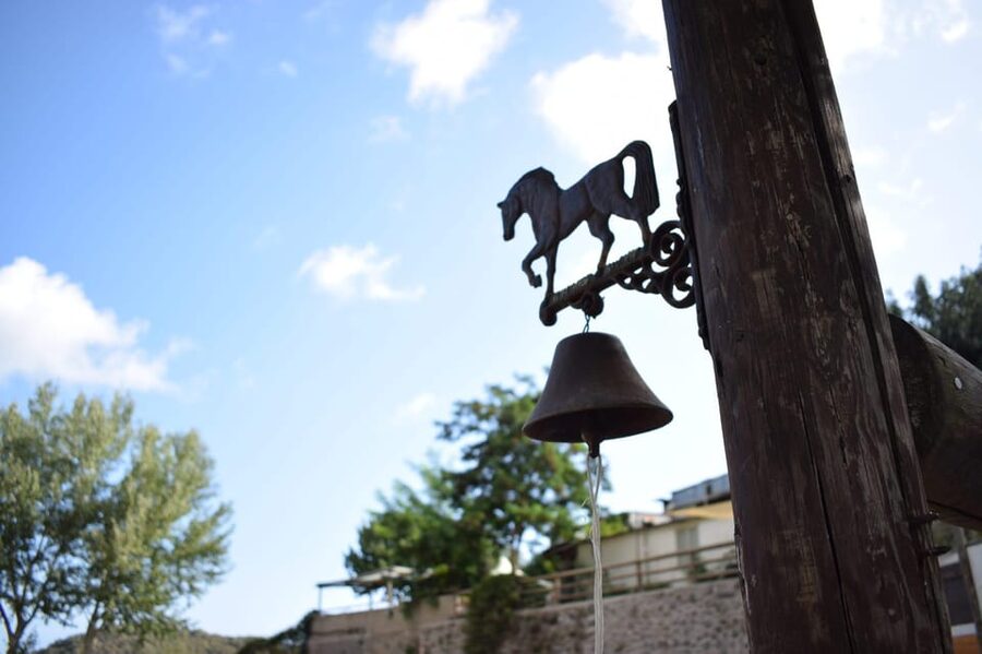 Horseback excursion in the Maddalena woods - Rolling into Barano d’Ischia woods, on horseback