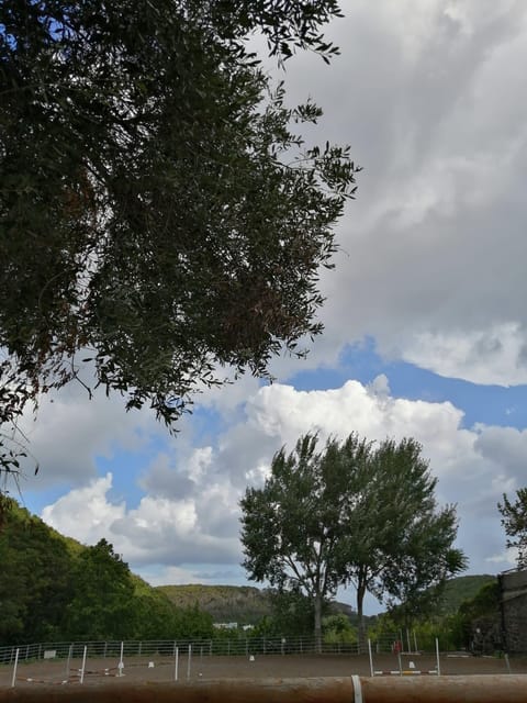 Horseback excursion in the Maddalena woods - Who should book this and who might skip it