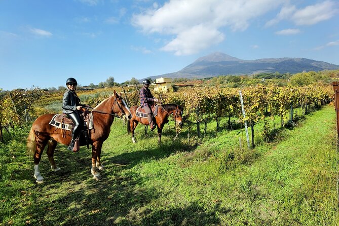 Horseback Riding on Vesuvius - Horseback on Vesuvius, Without the Crater Rush