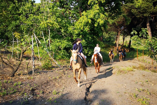 Horseback Riding on Vesuvius - Meeting the Horses: Calm Mounts, Patient Instruction, and Safety Checks