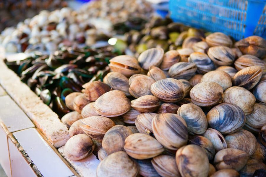 Ischia: Market Tour & Cooking Class at a Local's Home - The home kitchen setup, and how a private class changes everything