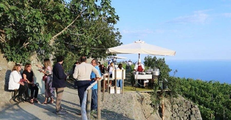 Ischia: Vineyard Tour & Wine Tasting Experience w/ Transfers - Key highlights at a glance