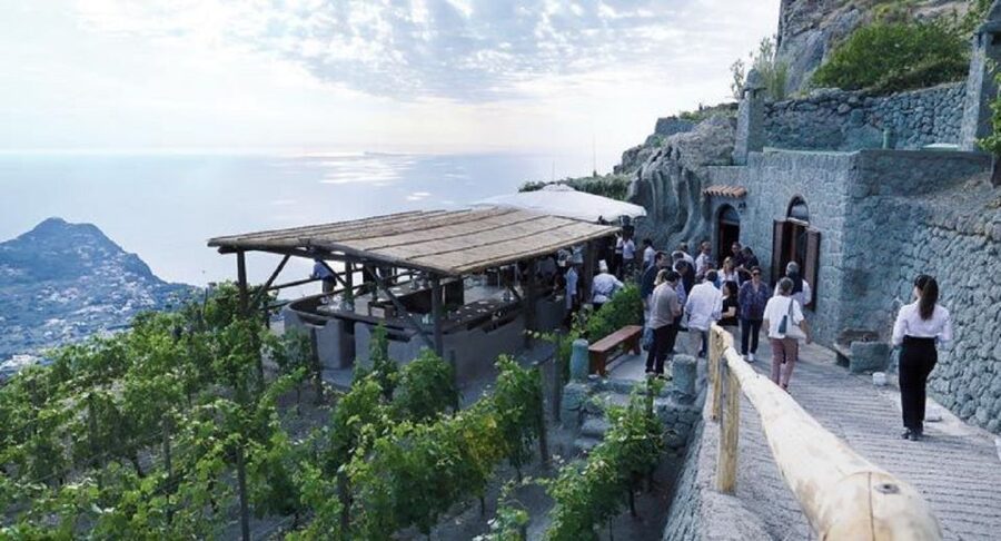 Ischia: Vineyard Tour & Wine Tasting Experience w/ Transfers - Why this Ischia wine tour feels worth your time