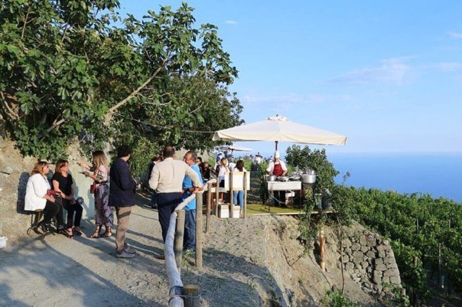 Ischia: Vineyard Tour & Wine Tasting Experience w/ Transfers - Transfers, timing, and what to plan for on the day