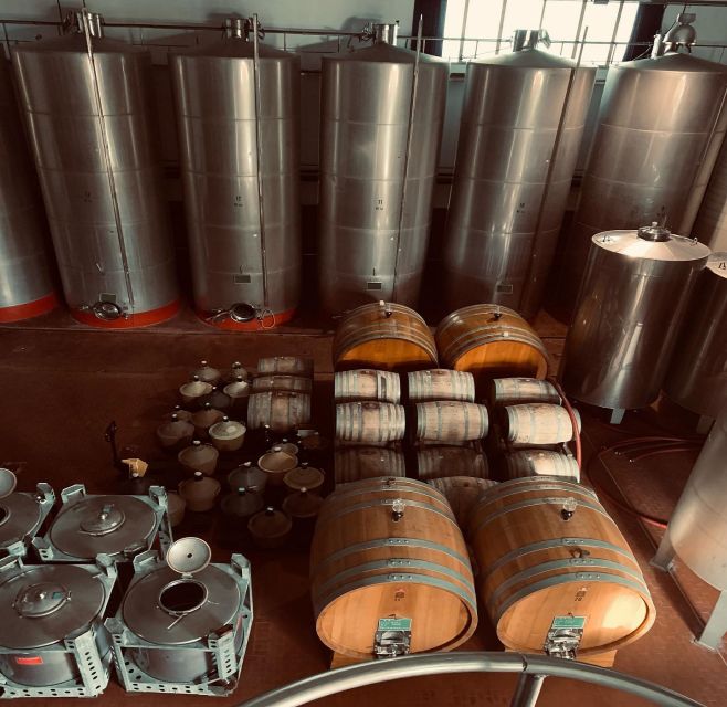 Ischia: Vineyard Tour & Wine Tasting Experience w/ Transfers - From pickup to tasting, the pacing is the secret