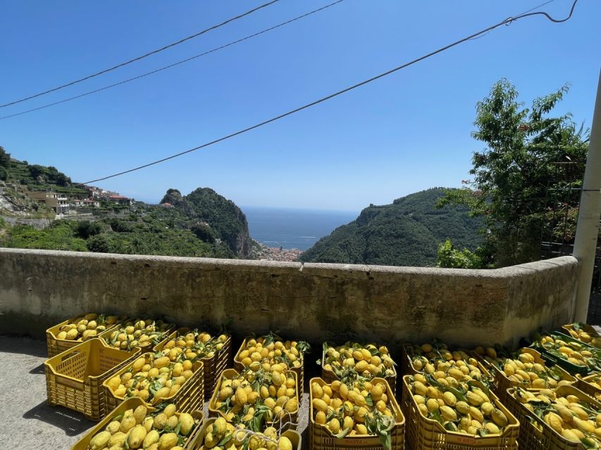 Maiori: Amalfi Coast Path of Lemons Day Trip with Tastings - Who Should Book This Path of Lemons Tour (and Who Should Skip It)