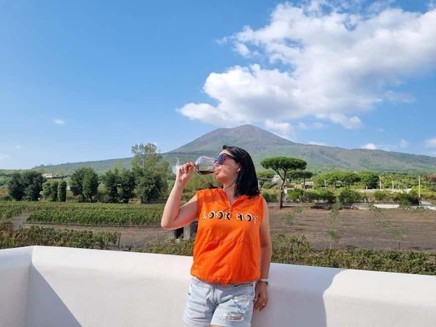 Mount Vesuvius: 5 Wine Tastings with Tour & Lunch Included - A Two-Hour Wine Day on Volcanic Ground Near Naples