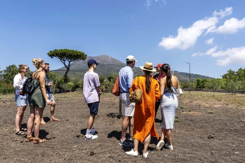 Mount Vesuvius: 5 Wine Tastings with Tour & Lunch Included - Lunch With Piennolo Tomatoes, Pastiera, and Wine Pairings That Actually Fit