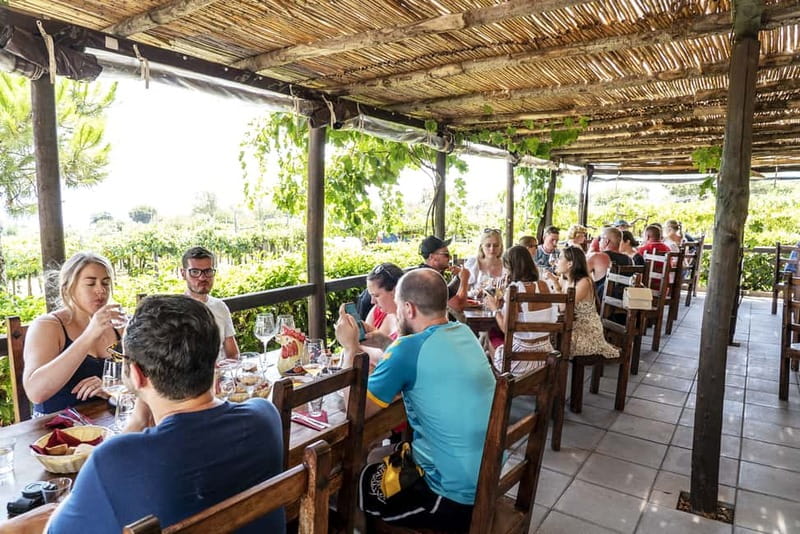 Mount Vesuvius: 5 Wine Tastings with Tour & Lunch Included - Price and Value for $74.26: What You’re Really Buying