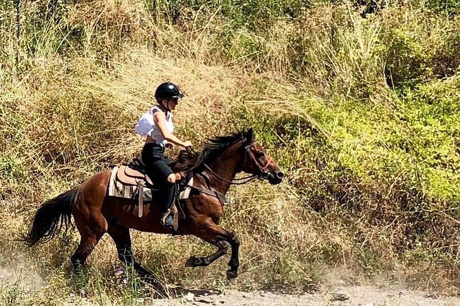 Mount Vesuvius Guided Horse Riding Tour with Sample Wine - First Things First: The Ramada Pickup and the Easy Van Ride