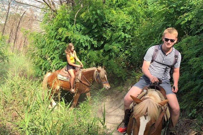 Mount Vesuvius Guided Horse Riding Tour with Sample Wine - The Best Part: Naples Bay Views, Photo Moments, and the Vesuvius Perspective