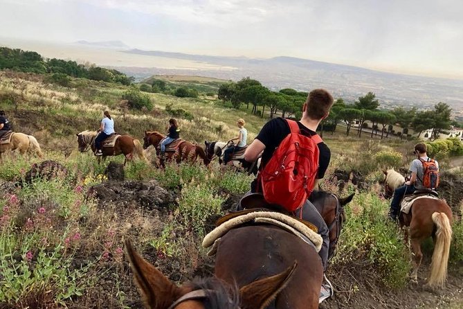 Mount Vesuvius Guided Horse Riding Tour with Sample Wine - Price and Value: What $107.68 Buys You in Real Terms