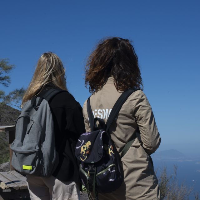Mount Vesuvius: Skip-the-Line Ticket and Smart Digital Guide - Entering Mount Vesuvius fast, then hiking at your pace