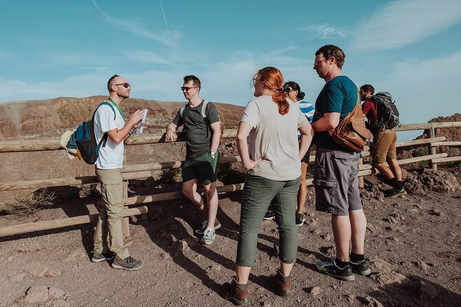 Mount Vesuvius Tour from Pompeii Led by an Expert Guide - Vesuvius National Park: what the 1.5 hour hike feels like
