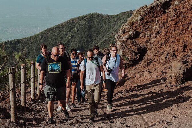 Mount Vesuvius Tour from Pompeii Led by an Expert Guide - The guide part: what you gain beyond the walk