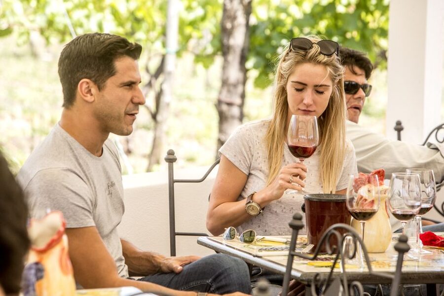 Mount Vesuvius: Vineyard Tour with Wine Tasting and Lunch - Who Should Book This Tour (and Who Might Skip It)