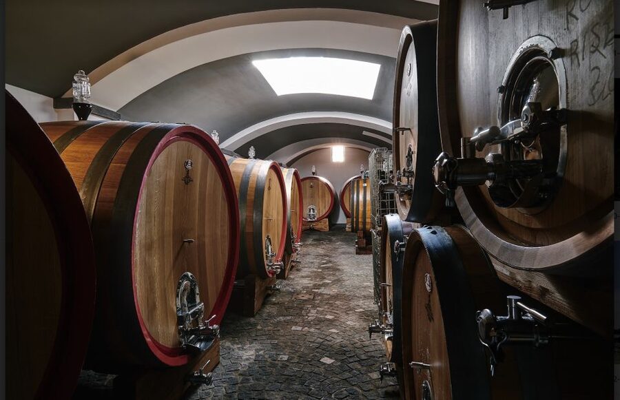 Mount Vesuvius: Vineyard Tour with Wine Tasting and Lunch - Vesuvius View Time, Naples Bay, Sorrento, and Capri