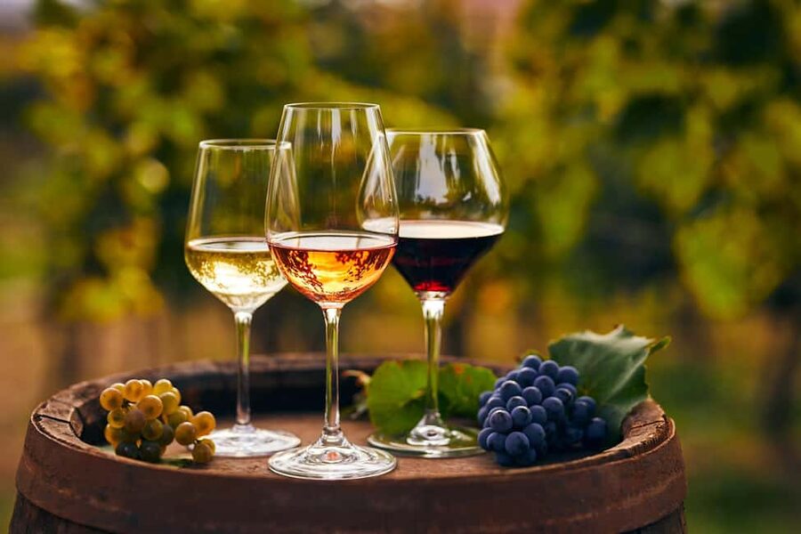 Mount Vesuvius Wine Tasting and Lunch from Pompeii - Pompeii to the vineyard: how the start and return actually work