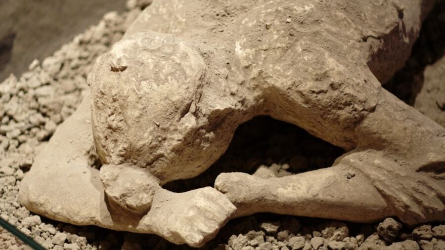 Naples: 7 Days Pass - Pompeii, Museums & Transport Included - Price and value: is $184.65 a smart deal?