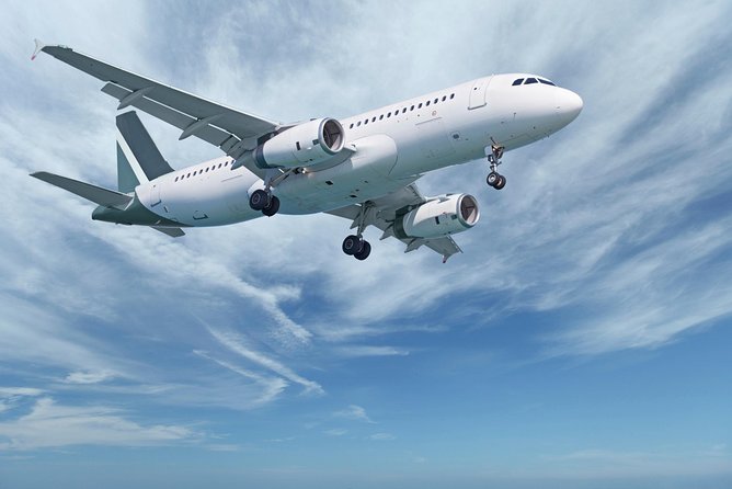 Naples airport/station to Sorrento private arrival transfer - Best Fit: Who Should Book This Naples to Sorrento Transfer