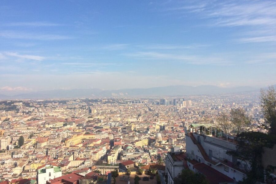 Naples and Pompeii: Half-Day Tour - Who Should Book This Half-Day Naples and Pompeii Tour