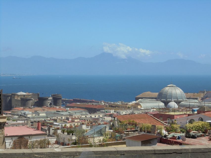 Naples: Naples, Pompeii, and Vesuvius Full-Day Tour - Getting the most from a 9-hour Naples-Pompeii-Vesuvius day