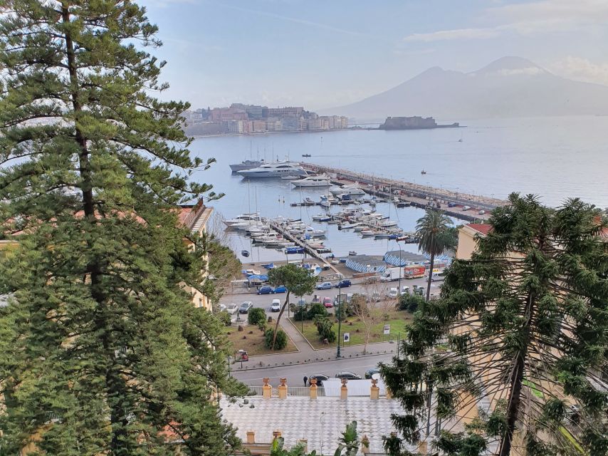 Naples: Naples, Pompeii, and Vesuvius Full-Day Tour - Piazza del Plebiscito and the grand front of Royal Palace