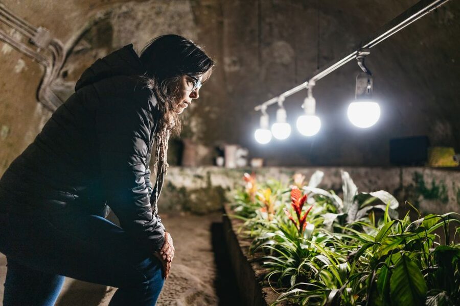Naples: Naples Underground Entry Ticket and Guided Tour - The Greek-Roman Aqueduct: Naples, understood through water