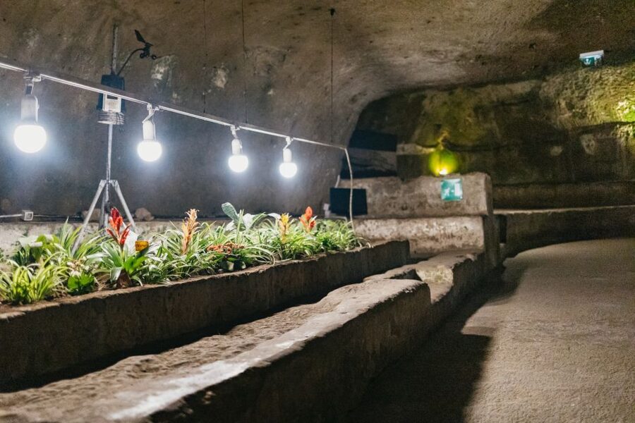 Naples: Naples Underground Entry Ticket and Guided Tour - Roman Theater remains and Summa Cavea: the dramatic parts underground