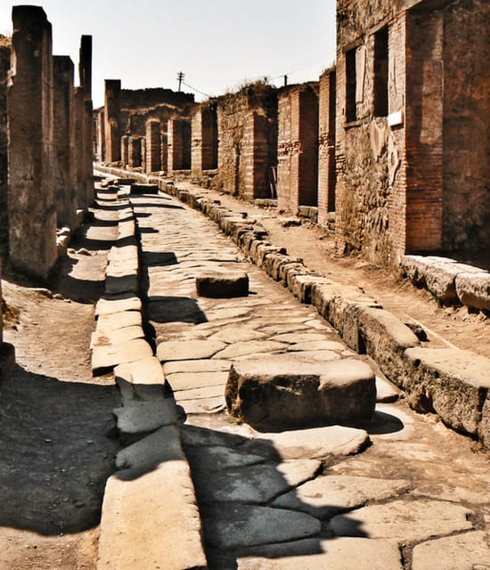 Naples: Pompeii and Herculaneum Private Walking Tour - Who this tour suits best, and who should consider alternatives