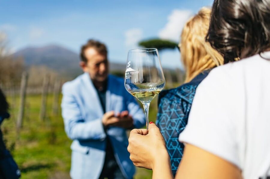 Naples: Pompeii and Mt. Vesuvius with Lunch and Wine Tasting - From Naples to Pompeii, the Tour Starts Fast