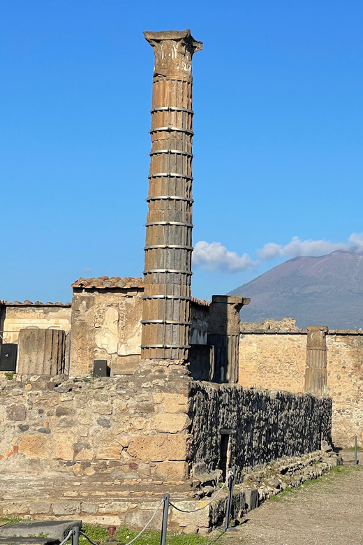 Naples: Pompeii Archaeology Park Tour & Skip-the-Line Entry - Who Should Book This Pompeii Tour