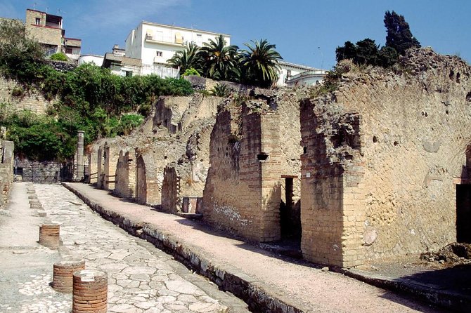Naples: Pompeii, Herculaneum, and Vesuvius Tour by Minivan - Pompeii: 2 hours of serious walking, made easier by skip-the-line
