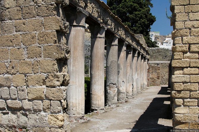 Naples: Pompeii, Herculaneum, and Vesuvius Tour by Minivan - Price and value: when $192.58 makes sense