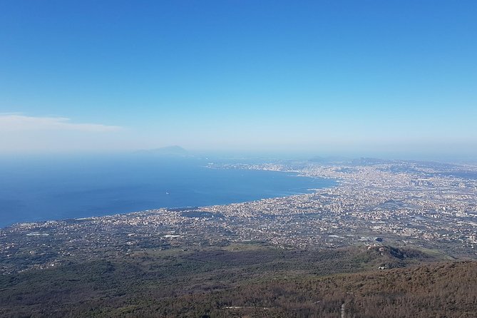 Naples: Pompeii, Herculaneum, and Vesuvius Tour by Minivan - Pickup and drop-off in Naples, plus how not to lose time
