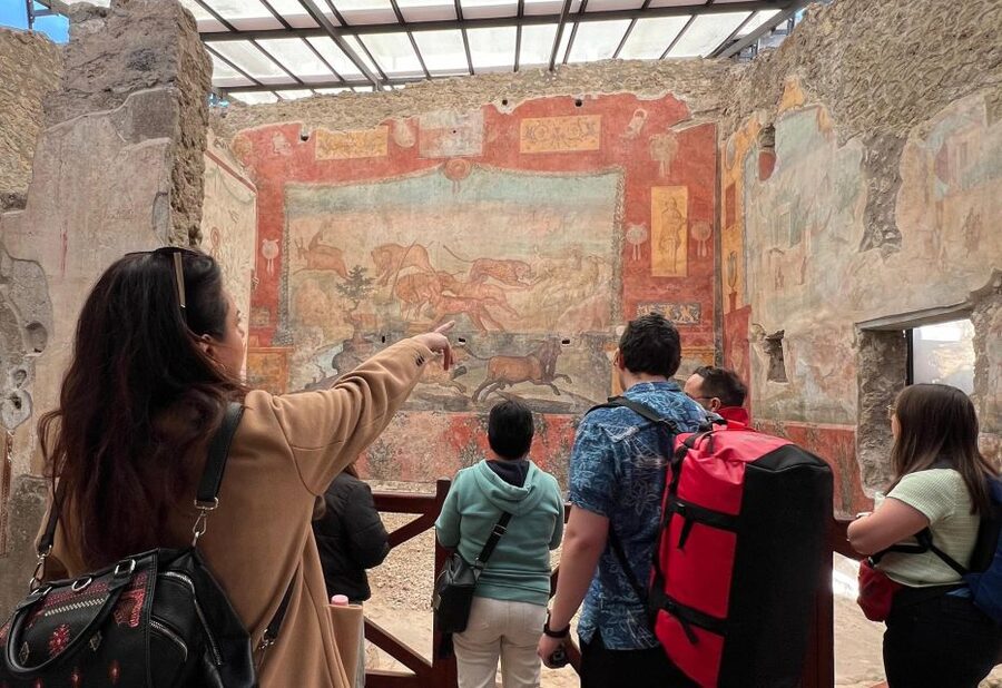 Naples: Pompeii & Mt. Vesuvius Day Trip with Tickets & Lunch - Getting from Naples to Pompeii without wasting your morning