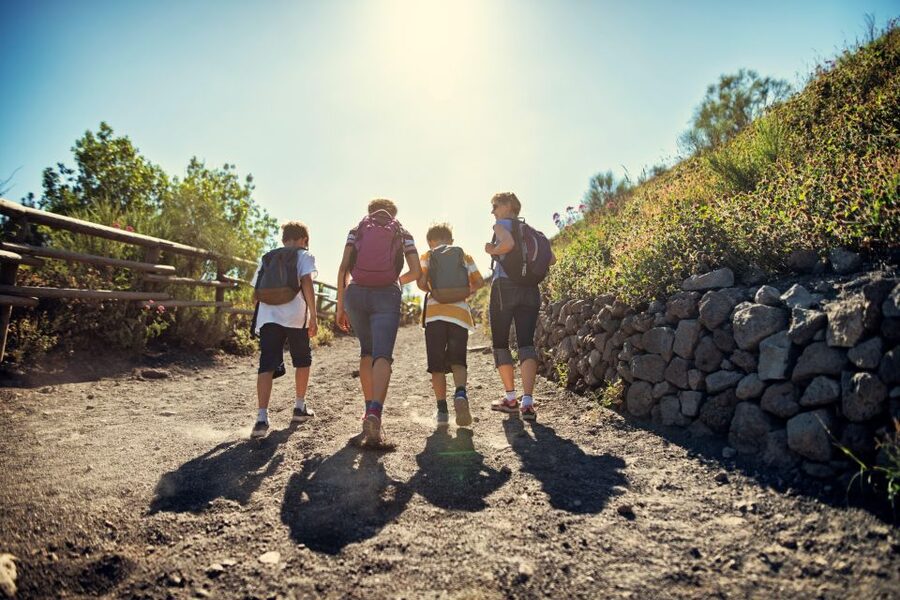 Naples: Pompeii & Mt. Vesuvius Day Trip with Tickets & Lunch - Who this tour is for, and who should pick a different plan