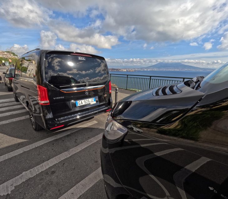 Naples Private Tour with driver and tour guide - What to expect from guides and drivers, based on real outcomes
