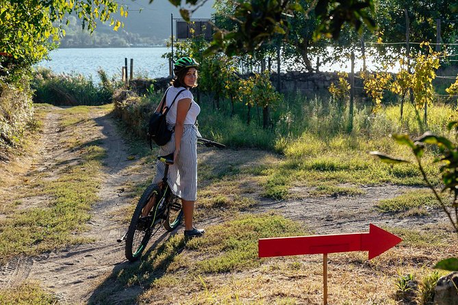 Naples Scenic E-Bike Ride to a Local Vineyard with Meal - Pace, timing, and a couple practical tips before you go