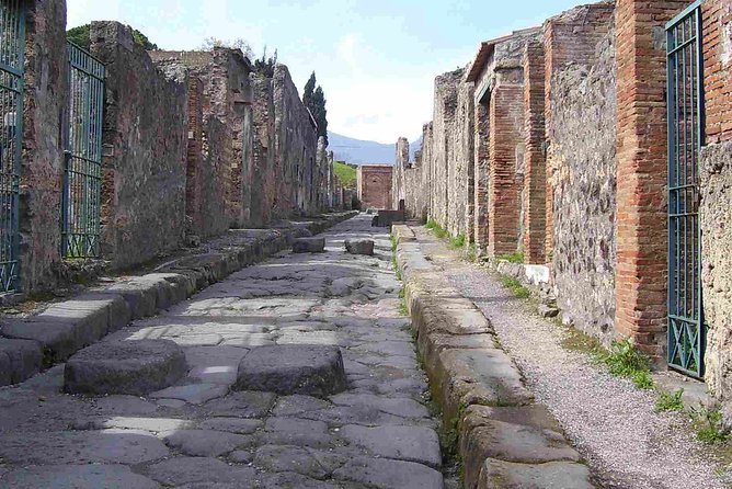 Naples Shore Excursion: Pompeii Half Day Trip from Naples - How the half-day Pompeii trip runs from Naples ports