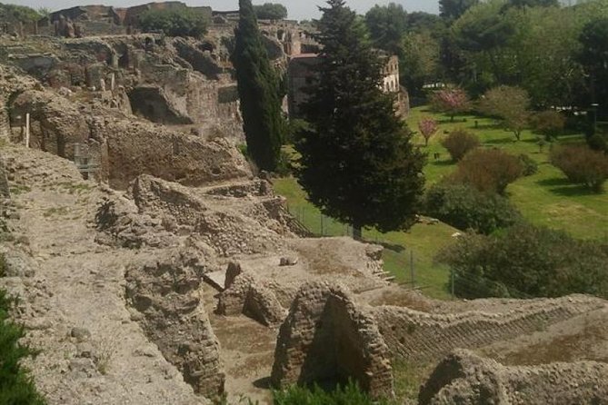 Naples Shore Excursion: Pompeii Half Day Trip from Naples - Price and value: is 84.43 USD worth it?